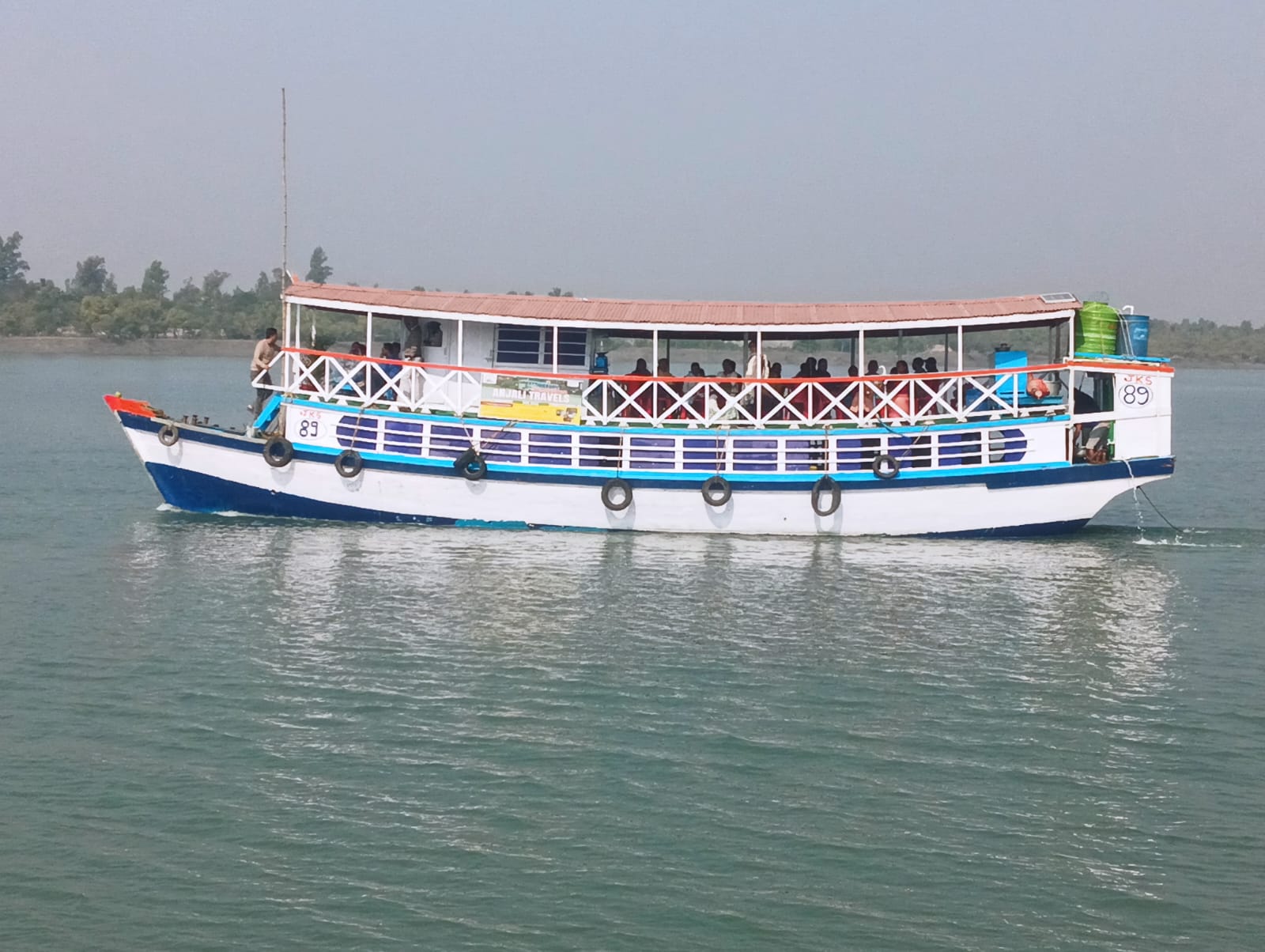 Sundarban mangrove landscape