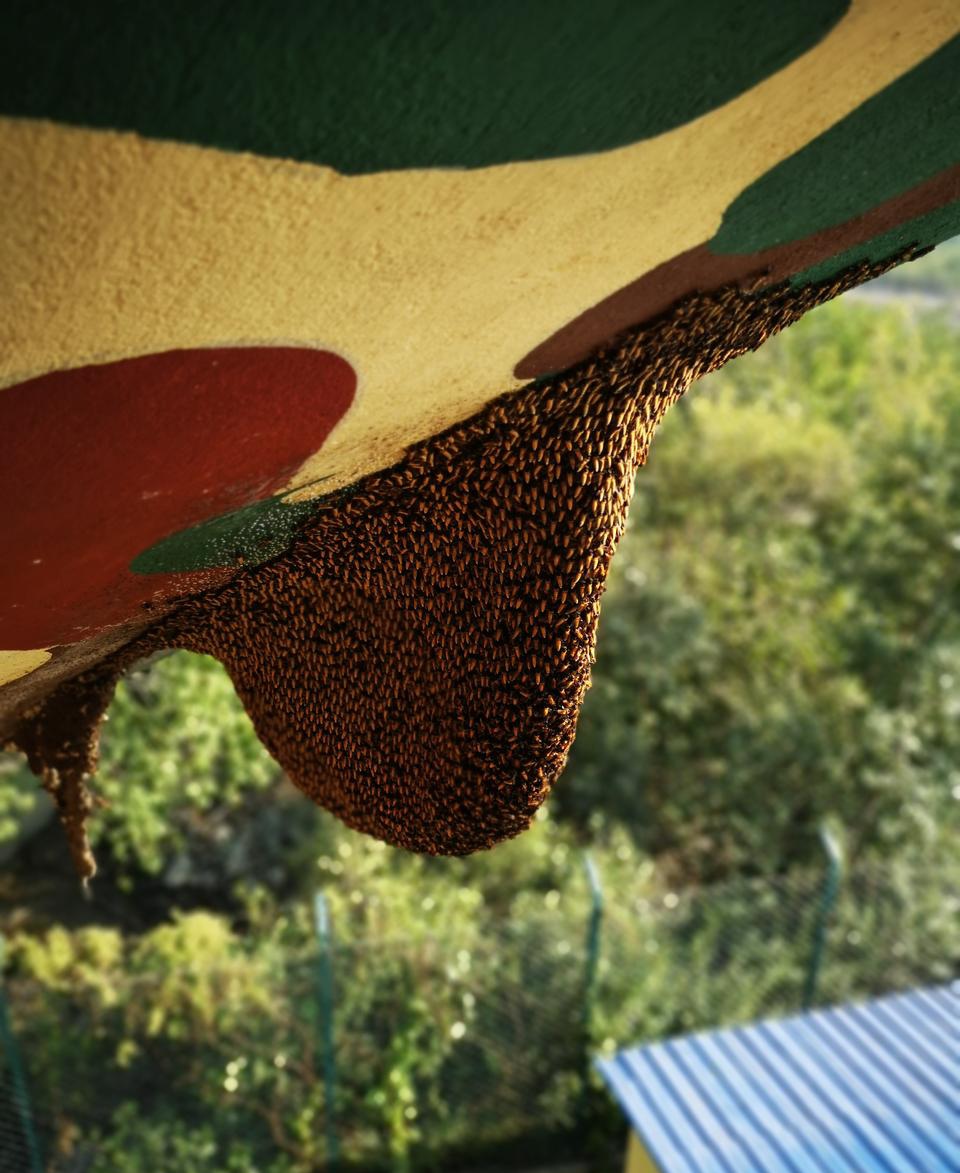 Gallery food image 4