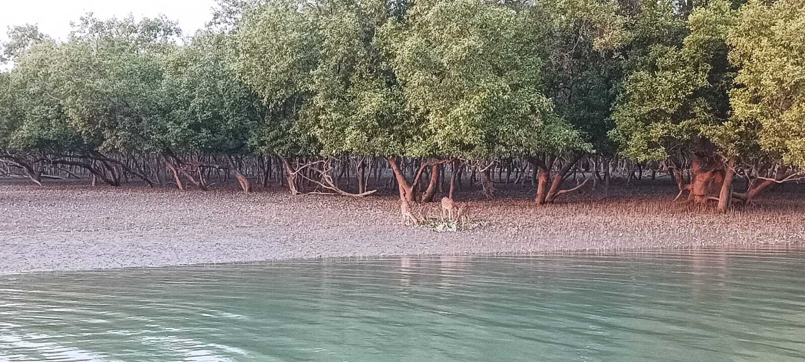 Sundarban Tour 2 Days 1 Night thumbnail