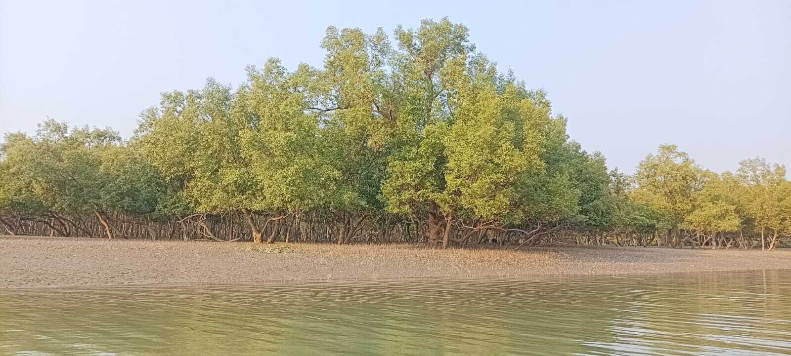 Sundarban Explorer 3 Days 2 Night thumbnail